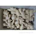 /msite/products/detail/productid/56330148/id/572588.html